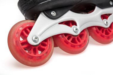 Kayın. Beyaz arkaplanda çift patenler.