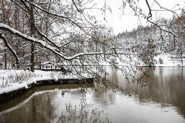 Paysage Hiver Istanbul Arboretum Ataturk Istanbul Turquie — Photo