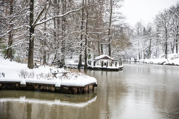 Paysage Hiver Istanbul Arboretum Ataturk Istanbul Turquie — Photo