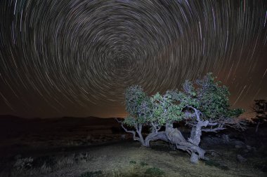 Gökyüzünün güzel gece manzarası