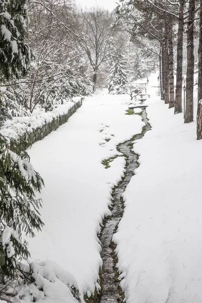 Paysage Hiver Istanbul Arboretum Ataturk Istanbul Turquie — Photo