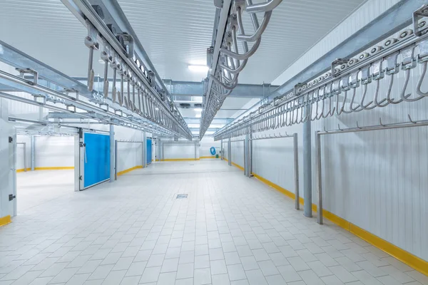 Magazijnvriezer Koelcel Koelkamer Voor Voedselopslag Een Lege Industriële Koelkast Met — Stockfoto