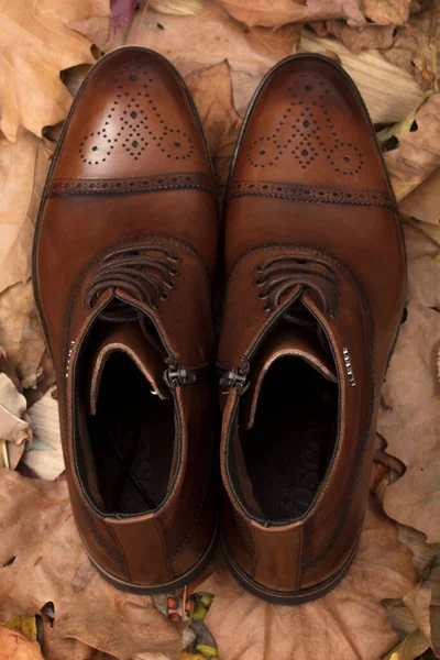 Autumnal yellow leaves and Classic men\'s shoes. Studio shots.