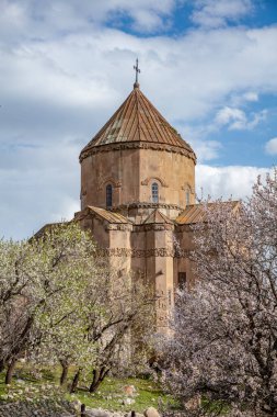 Akdamar Adası 'ndaki Ermeni Kutsal Haç Kilisesi' nin (Akdamar Adasi) bahar manzarası, Van / Türkiye Gölü. Akdamar Adası 'nın ortasında, çiçeklerle çevrili bir ağaçla.