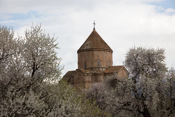 Удивительный Весенний Вид Армянскую Церковь Святого Креста Острове Акдамар Акдамар — стоковое фото