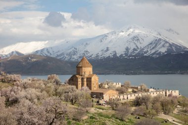 Akdamar Adası 'ndaki Ermeni Kutsal Haç Kilisesi' nin (Akdamar Adasi) bahar manzarası, Van / Türkiye Gölü. Akdamar Adası 'nın ortasında, çiçeklerle çevrili bir ağaçla.