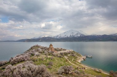 Akdamar Adası 'ndaki Ermeni Kutsal Haç Kilisesi' nin (Akdamar Adasi) bahar manzarası, Van / Türkiye Gölü. Akdamar Adası 'nın ortasında, çiçeklerle çevrili bir ağaçla.
