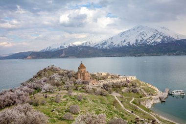 Akdamar Adası 'ndaki Ermeni Kutsal Haç Kilisesi' nin (Akdamar Adasi) bahar manzarası, Van / Türkiye Gölü. Akdamar Adası 'nın ortasında, çiçeklerle çevrili bir ağaçla.