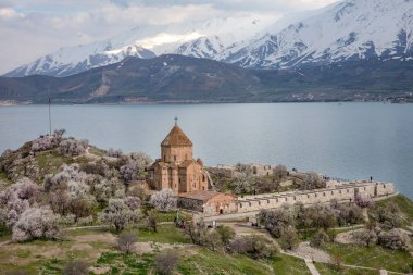 Akdamar Adası 'ndaki Ermeni Kutsal Haç Kilisesi' nin (Akdamar Adasi) bahar manzarası, Van / Türkiye Gölü. Akdamar Adası 'nın ortasında, çiçeklerle çevrili bir ağaçla.
