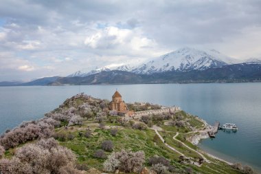 Akdamar Adası 'ndaki Ermeni Kutsal Haç Kilisesi' nin (Akdamar Adasi) bahar manzarası, Van / Türkiye Gölü. Akdamar Adası 'nın ortasında, çiçeklerle çevrili bir ağaçla.