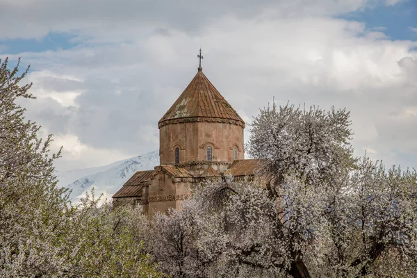 Amazing spring view of Armenian Church of the Holy Cross on Akdamar Island (Akdamar Adasi), Lake Van/Turkey. Surrounded by tree in blossom, in a middle of Akdamar Island.