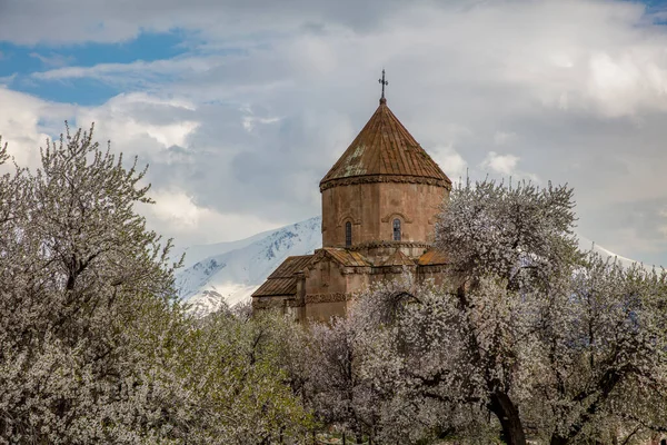 Niesamowity Wiosenny Widok Ormiański Kościół Świętego Krzyża Wyspie Akdamar Akdamar — Zdjęcie stockowe