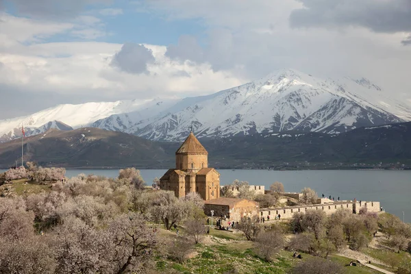 Amazing spring view of Armenian Church of the Holy Cross on Akdamar Island (Akdamar Adasi), Lake Van/Turkey. Surrounded by tree in blossom, in a middle of Akdamar Island.