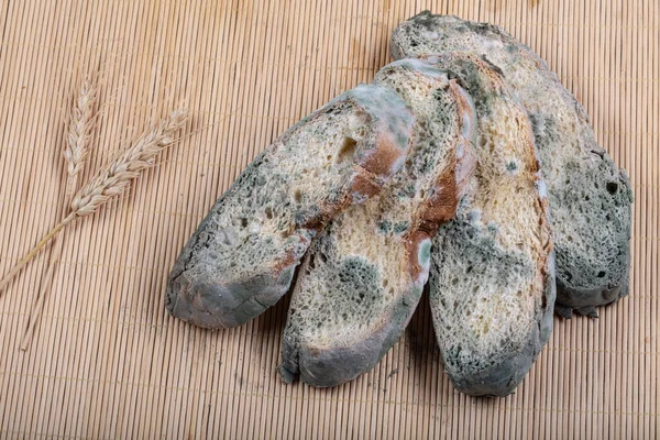 Macrophotography of green mildew on a stale bread. Surface of moldy bread. Spoiled bread with mold. Moldy fungus on rotten bread. Top view