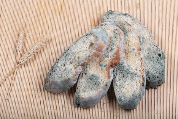 Macrophotography of green mildew on a stale bread. Surface of moldy bread. Spoiled bread with mold. Moldy fungus on rotten bread. Top view