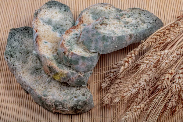 Макрофотография Зеленой Плесени Черством Хлебе Поверхность Заплесневелого Хлеба Испорченный Хлеб — стоковое фото