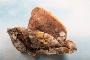 Bayat ekmeğin üzerindeki yeşil küfün makrofotoğrafçılığı. Küflü ekmek yüzeyi. Bozuk ekmek ve küf. Çürük ekmeğin üzerindeki küflü mantar. Üst görünüm