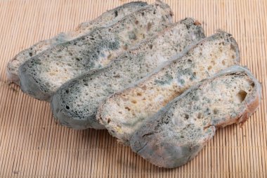 Bayat ekmeğin üzerindeki yeşil küfün makrofotoğrafçılığı. Küflü ekmek yüzeyi. Bozuk ekmek ve küf. Çürük ekmeğin üzerindeki küflü mantar. Üst görünüm