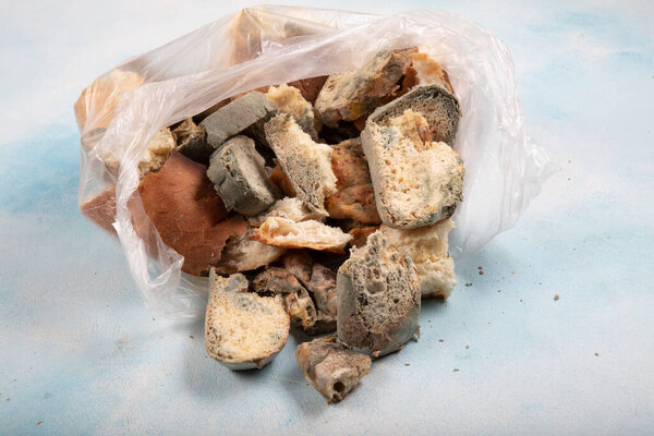 Macrophotography of green mildew on a stale bread. Surface of moldy bread. Spoiled bread with mold. Moldy fungus on rotten bread. Top view