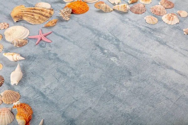 Summer, holiday, vacation, Starfish And Seashell On Blue Plank. Summer sea vacation concept background with copy space. Marine objects, Various seashells and starfish on a blue white wooden floor background.