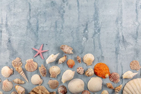 Лето Каникулы Каникулы Морская Звезда Морской Голубой Доске Концепция Летнего — стоковое фото