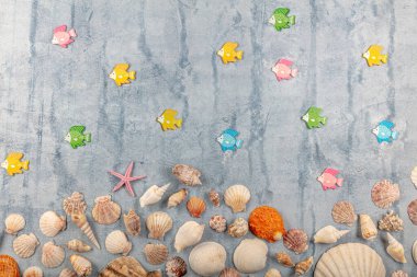 Yaz, tatil, tatil, denizyıldızı ve deniz kabuğu. Fotokopi alanı olan yaz tatili konsepti. Deniz cisimleri, çeşitli deniz kabukları ve deniz yıldızları mavi beyaz ahşap zemin üzerinde.
