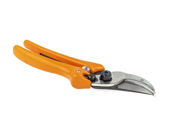 Trädgårdssekatörer Pruning Shears Isolerad Vit Bakgrund — Stockfoto