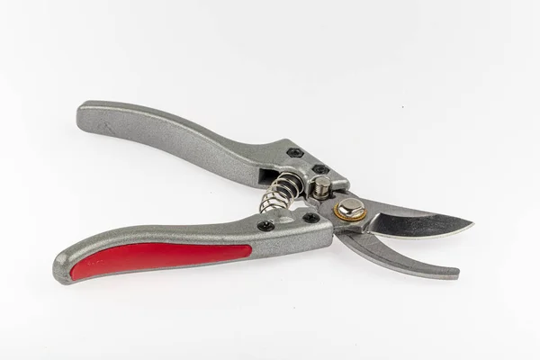 Garden Secateurs Pruning Shears Isolated White Background — Stock Photo, Image