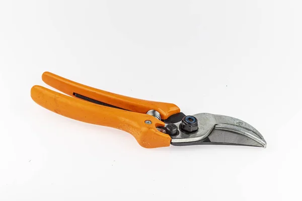 Garden Secateurs Pruning Shears Isolated White Background — Stock Photo, Image