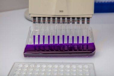 Laboratuvar / Çok kanallı pipet yükleme örneklerinde test için mikro plakaya 96 kuyuya biyolojik örnekler yükleyen çok kanallı pipet..
