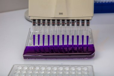 Laboratuvar / Çok kanallı pipet yükleme örneklerinde test için mikro plakaya 96 kuyuya biyolojik örnekler yükleyen çok kanallı pipet..