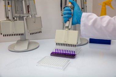 Laboratuvar / Çok kanallı pipet yükleme örneklerinde test için mikro plakaya 96 kuyuya biyolojik örnekler yükleyen çok kanallı pipet..