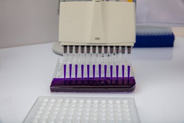 Laboratuvar / Çok kanallı pipet yükleme örneklerinde test için mikro plakaya 96 kuyuya biyolojik örnekler yükleyen çok kanallı pipet..