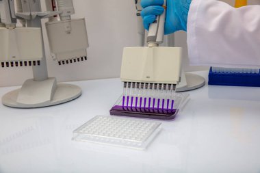 Laboratuvar / Çok kanallı pipet yükleme örneklerinde test için mikro plakaya 96 kuyuya biyolojik örnekler yükleyen çok kanallı pipet..