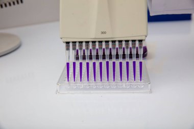 Laboratuvar / Çok kanallı pipet yükleme örneklerinde test için mikro plakaya 96 kuyuya biyolojik örnekler yükleyen çok kanallı pipet..