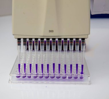 Laboratuvar / Çok kanallı pipet yükleme örneklerinde test için mikro plakaya 96 kuyuya biyolojik örnekler yükleyen çok kanallı pipet..