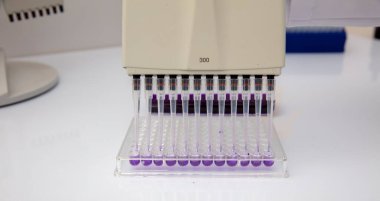Laboratuvar / Çok kanallı pipet yükleme örneklerinde test için mikro plakaya 96 kuyuya biyolojik örnekler yükleyen çok kanallı pipet..