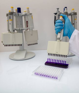 Laboratuvar / Çok kanallı pipet yükleme örneklerinde test için mikro plakaya 96 kuyuya biyolojik örnekler yükleyen çok kanallı pipet..