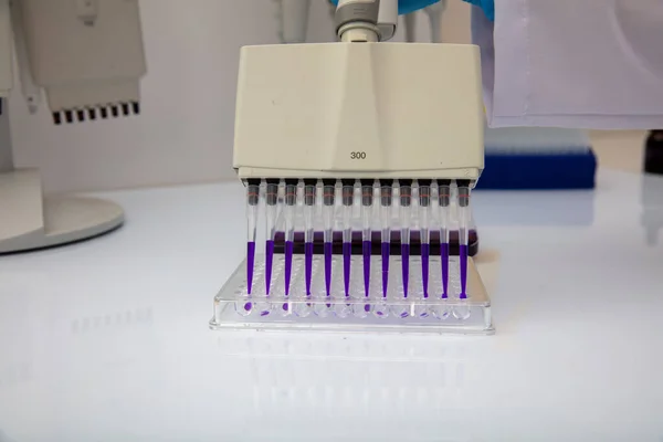 実験室での試験のためのマイクロプレートに生物学的サンプルをロードするマルチチャネルパイプレット96ウェルとマイクロプレートにロードサンプル — ストック写真