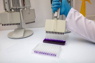 Laboratuvar / Çok kanallı pipet yükleme örneklerinde test için mikro plakaya 96 kuyuya biyolojik örnekler yükleyen çok kanallı pipet..