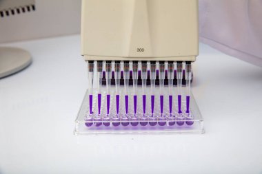 Laboratuvar / Çok kanallı pipet yükleme örneklerinde test için mikro plakaya 96 kuyuya biyolojik örnekler yükleyen çok kanallı pipet..