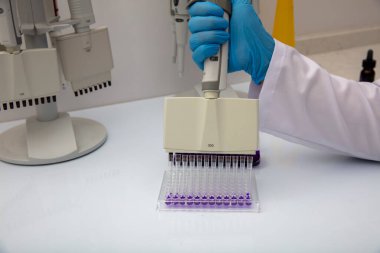 Laboratuvar / Çok kanallı pipet yükleme örneklerinde test için mikro plakaya 96 kuyuya biyolojik örnekler yükleyen çok kanallı pipet..