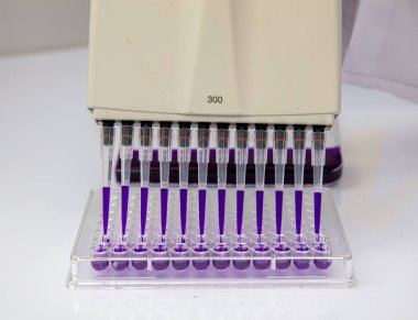 Laboratuvar / Çok kanallı pipet yükleme örneklerinde test için mikro plakaya 96 kuyuya biyolojik örnekler yükleyen çok kanallı pipet..