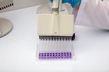Laboratuvar / Çok kanallı pipet yükleme örneklerinde test için mikro plakaya 96 kuyuya biyolojik örnekler yükleyen çok kanallı pipet..