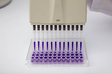 Laboratuvar / Çok kanallı pipet yükleme örneklerinde test için mikro plakaya 96 kuyuya biyolojik örnekler yükleyen çok kanallı pipet..