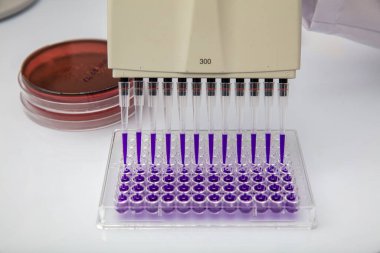 Laboratuvar / Çok kanallı pipet yükleme örneklerinde test için mikro plakaya 96 kuyuya biyolojik örnekler yükleyen çok kanallı pipet..