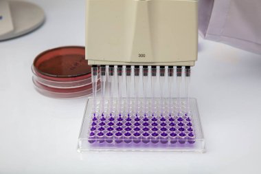 Laboratuvar / Çok kanallı pipet yükleme örneklerinde test için mikro plakaya 96 kuyuya biyolojik örnekler yükleyen çok kanallı pipet..