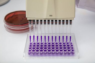 Laboratuvar / Çok kanallı pipet yükleme örneklerinde test için mikro plakaya 96 kuyuya biyolojik örnekler yükleyen çok kanallı pipet..