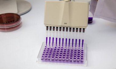 Laboratuvar / Çok kanallı pipet yükleme örneklerinde test için mikro plakaya 96 kuyuya biyolojik örnekler yükleyen çok kanallı pipet..