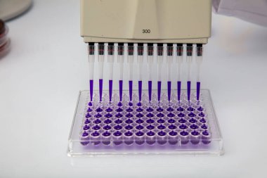 Laboratuvar / Çok kanallı pipet yükleme örneklerinde test için mikro plakaya 96 kuyuya biyolojik örnekler yükleyen çok kanallı pipet..